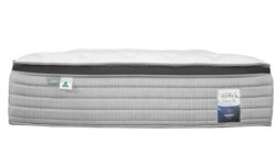 Comfort sleep verve chiro posture pocket spring medium mattress