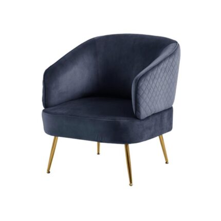 Gaius Velvet Fabric Lounge Occasional Accent Relaxing Chair - Ink