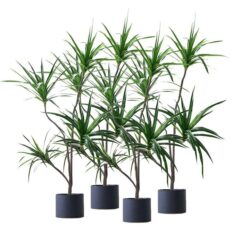 4X 180cm Green Artificial Indoor Brazlian Iron Tree Fake Plant Decorative 4 Heads