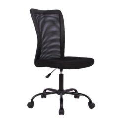 Andra Ergonomic Mesh Low Back Office Chair - Black