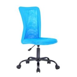 Andra Ergonomic Mesh Low Back Office Chair - Blue