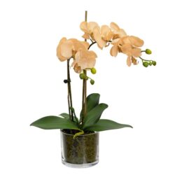 Apricot Orchid Artificial Fake Plant Decorative Arrangement 45cm In Cylinder Glass