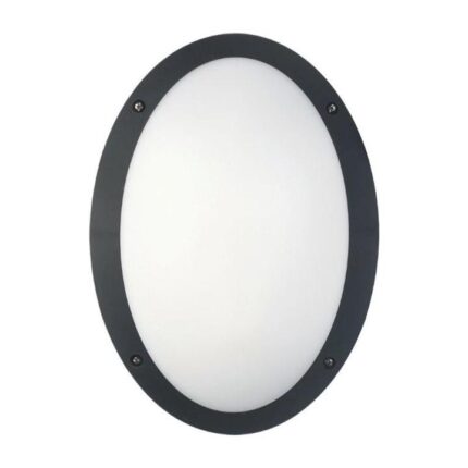 Boris Bulkhead Wall Light Lamp 12W Oval Black 4000K