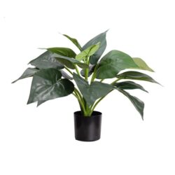 Calathea Artificial Faux Plant Decorative 49cm In Pot