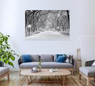Central Park Dawn Wall Art Multi Extra Large