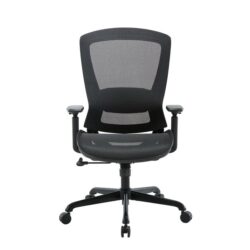 Daisy Mesh Seat Executive Manager Office Task Computer Working Chair - Black