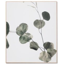 Eucalyptus Branch 2 Framed Canvas Wall Art Print by Interior Secrets - AfterPay Available
