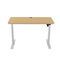 Fenge Height-Adjustable Electric Sit And Stand Office Study Comptuer Desk 120cm W/ USB Charging Port Natural