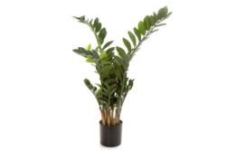Flora Artificial 900mm Smargago Potted Plant X10 With 201 Leaves