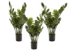 Flora Smargago Potted Plant Group Of 10 Branches With 160 Leaves 660mm H - Set Of 3 - Smargago Potted Plant