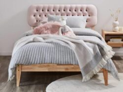 Halo King Single Bed Frame | Natural Hardwood | Shop Online or Instore | B2C Furniture