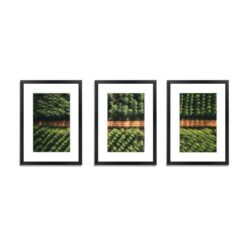 NNEDSZ 3 Photo Frame Wall Set A3 Picture Home Decor Art Gift Present Black