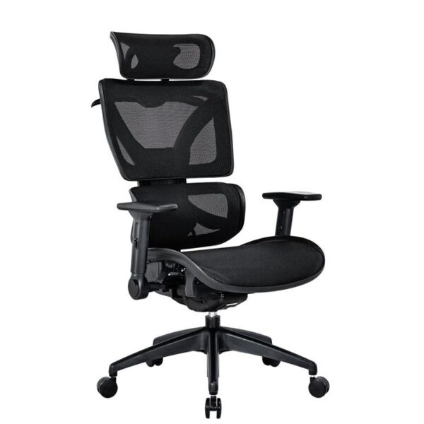 RISCHE Mesh Ergonomic Filpped Armrest Adjustable Executive Office Computer Chair - Black