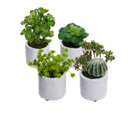 Set Of 4 Succulent Artificial Plants Green