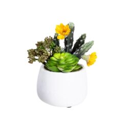 Succulent Artificial Faux Plant Decorative 20cm In Small Pot