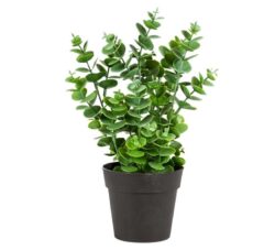 27Cm Eucalyptus Artificial Plant Green