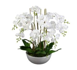 75Cm Phalaenopsis Orchid Artificial Plant In A Ceramic Pot White Large