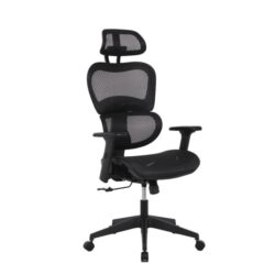 Elite Modern Ergonomic Mesh Executive Office Computer Working Chair - Black