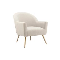 Annandale Fabric Accent Lounge Relaxing Armchair - Beige - Beige