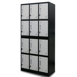 FORTIA 12-Door Metal Storage Lockers, for Gym, Office, Black and Light Grey