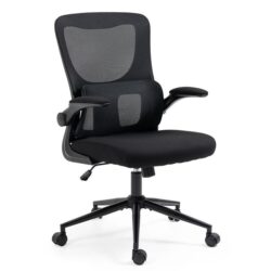 FORTIA Ergonomic Office Desk Chair, 10 Position Lumbar Support, Mesh Fabric, Retractable Armrests, Black