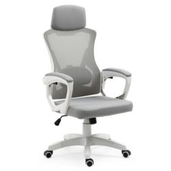 FORTIA Ergonomic Office Desk Chair, Height Adjustable Lumbar Support, Mesh Fabric, Headrest, White/Grey