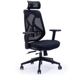 PRE-ORDER FORTIA Ergonomic Office Desk Chair, with Adjustable Lumbar Support and Headrest, Black Mesh/Black Frame