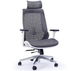 PRE-ORDER FORTIA Ergonomic Office Desk Chair, with Adjustable Lumbar Support and Headrest, Dark Grey Mesh/White Frame