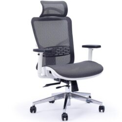 PRE-ORDER FORTIA Ergonomic Office Desk Chair, with Headrest and Adjustable Lumbar Support, Dark Grey Mesh/White Frame
