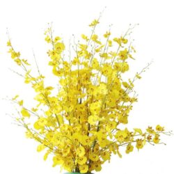 NNEAGS 10pcs Artificial Silk Flower Fake Orchid Bouquet Table Decor Yellow