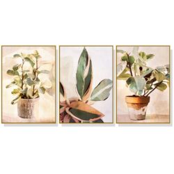 NNEDSZ 40cmx60cm Botanical Leaves Watercolor Style 3 Sets Gold Frame Canvas Wall Art