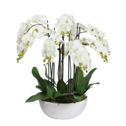 Apple Green Phal Orchid White Artificial Faux Plant Decorative Arrangement In Pot