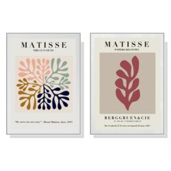50cmx70cm Matisse 2 Sets White Frame Canvas Wall Art