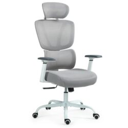 PRE-ORDER FORTIA Ergonomic Office Desk Chair, Coolmesh Fabric, Adjustable Lumbar Support, Headrest, Armrest and Recline, White Mesh/Grey Frame