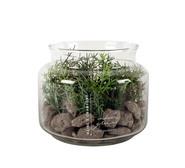 Banee Artificial Plant Green