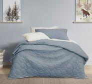 Bolston Single Coverlet Set Blue