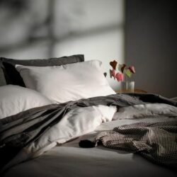 Canningvale CoziCotton Flannelette Quilt Cover Set - Natural, Double, Cotton