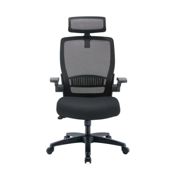 Cresta Mesh Ergonomic Office Chair - Black by Interior Secrets - AfterPay Available