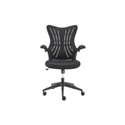 Cupertino Low Back Office Computer Work Task Chair - Black