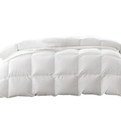 DreamZ Duck Down Feather Quilt 200GSM Duvet Doona Summer Single Blanket Bed