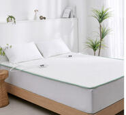 Dreamaker Antimicrobial King Electric Throw Blanket White