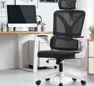 Elladee Office Chair Black