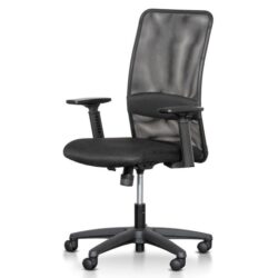 Elroy Mesh Office Chair - Black by Interior Secrets - AfterPay Available