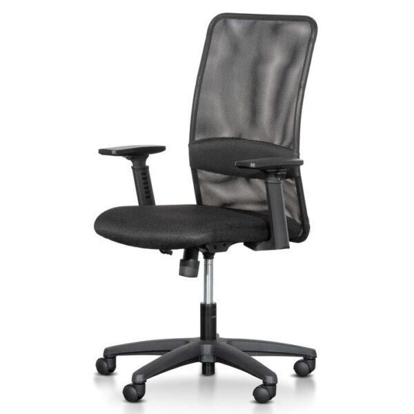 Elroy Mesh Office Chair - Black by Interior Secrets - AfterPay Available
