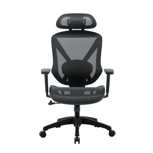Esparza Mesh Ergonomic Office Chair - Black by Interior Secrets - AfterPay Available