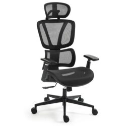 FORTIA Ergonomic Office Desk Chair, Coolmesh Fabric, Adjustable Lumbar Support, Headrest, Armrest and Recline, Black Mesh/Black Frame