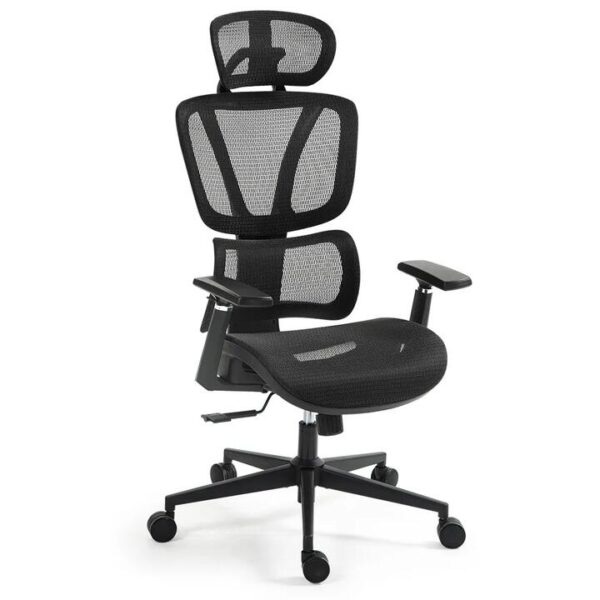 FORTIA Ergonomic Office Desk Chair, Coolmesh Fabric, Adjustable Lumbar Support, Headrest, Armrest and Recline, Black Mesh/Black Frame