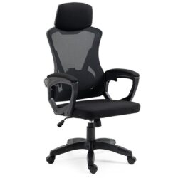 FORTIA Ergonomic Office Desk Chair, Height Adjustable Lumbar Support, Mesh Fabric, Headrest, Black