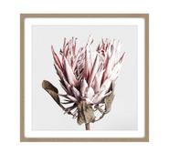 Florali Wall Art Pink