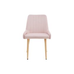 Fremantle Set of 2 Velvet Kitchen Dining Chairs Blush - Blush